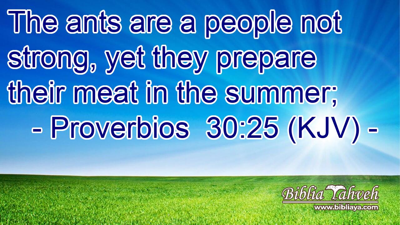 The ants are a people not strong, yet they prepare their meat in the summer;