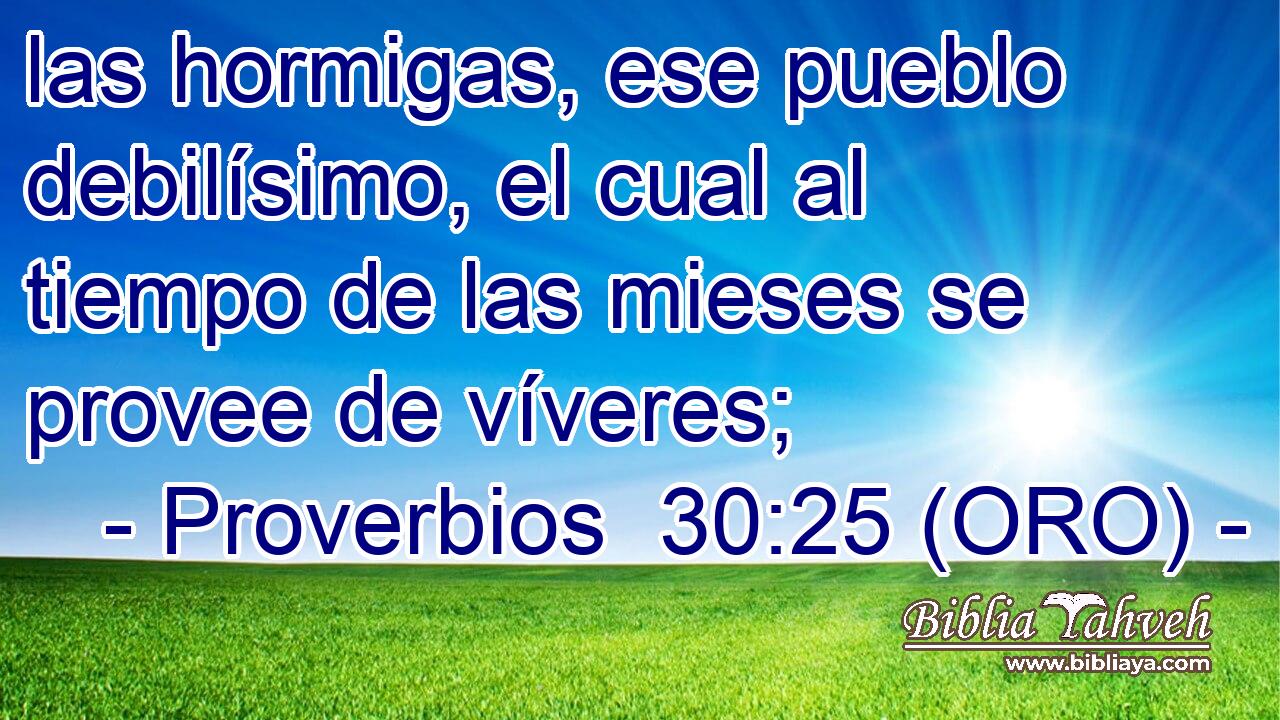  las hormigas, ese pueblo debilísimo, el cual al tiempo de las mieses se provee de víveres; 