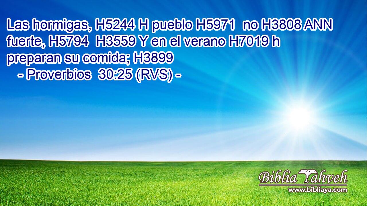Las hormigas, H5244 H pueblo H5971  no H3808 ANN fuerte, H5794  H3559 Y en el verano H7019 h preparan su comida; H3899  