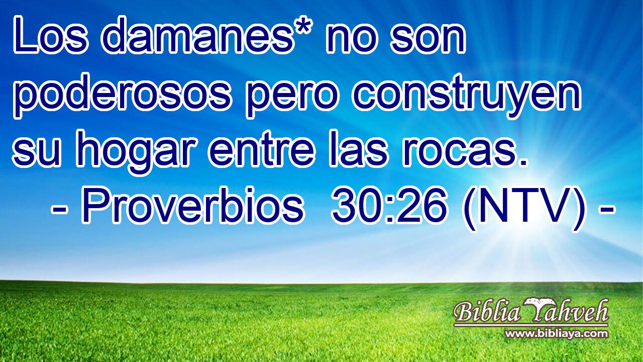 Los damanes* no son poderosos pero construyen su hogar entre las rocas.