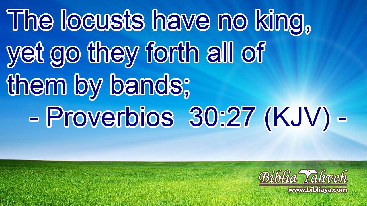 The locusts have no king, yet go they forth all of them by bands;