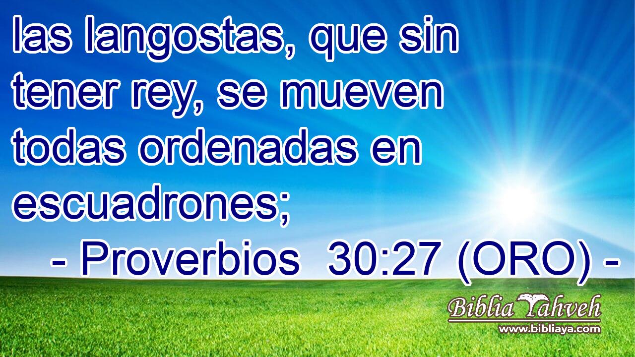 las langostas, que sin tener rey, se mueven todas ordenadas en escuadrones; 