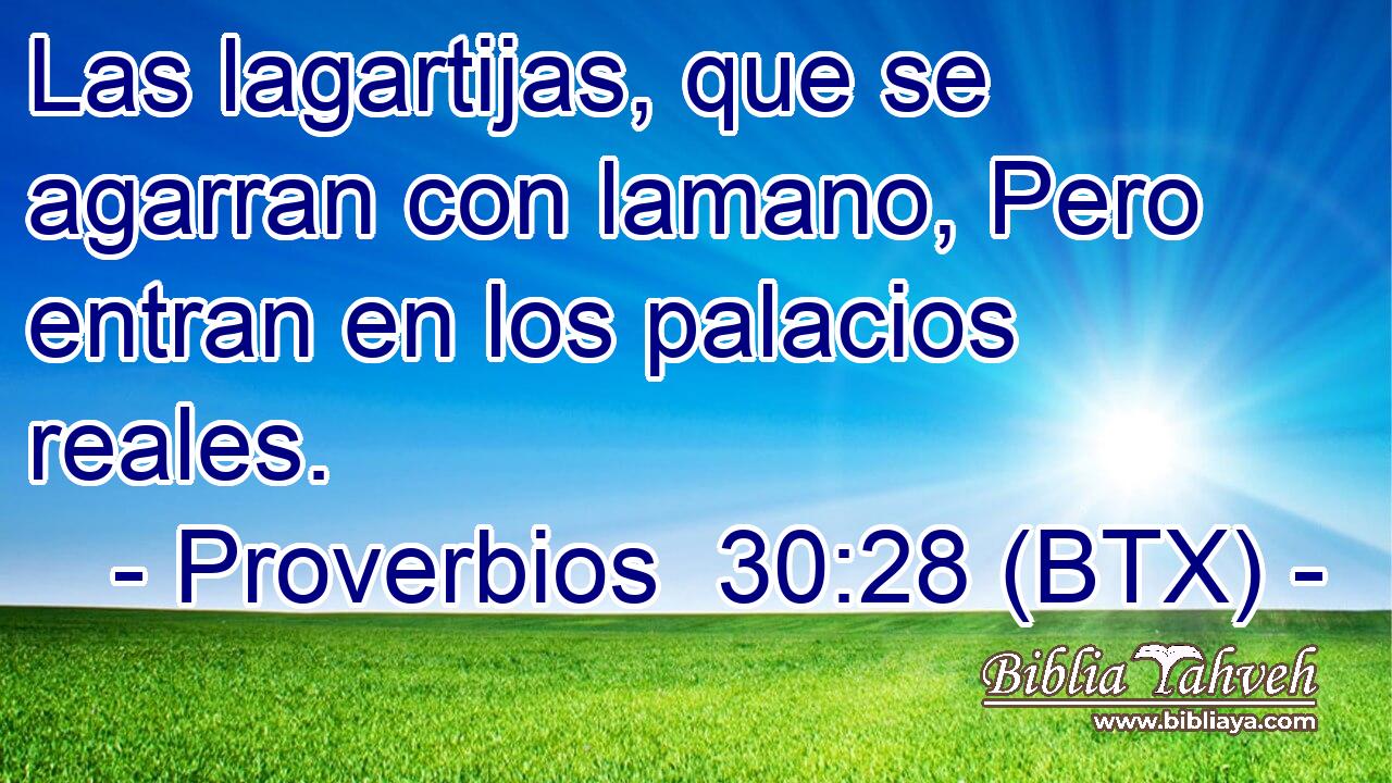 Las lagartijas, que se agarran con lamano, Pero entran en los palacios reales.