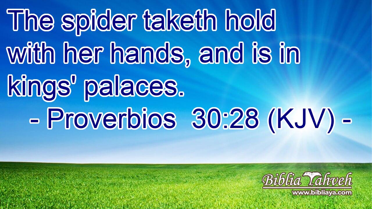 The spider taketh hold with her hands, and is in kings' palaces.