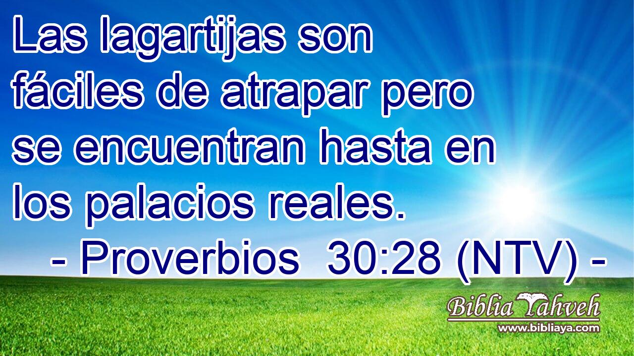 Las lagartijas son fáciles de atrapar pero se encuentran hasta en los palacios reales.
