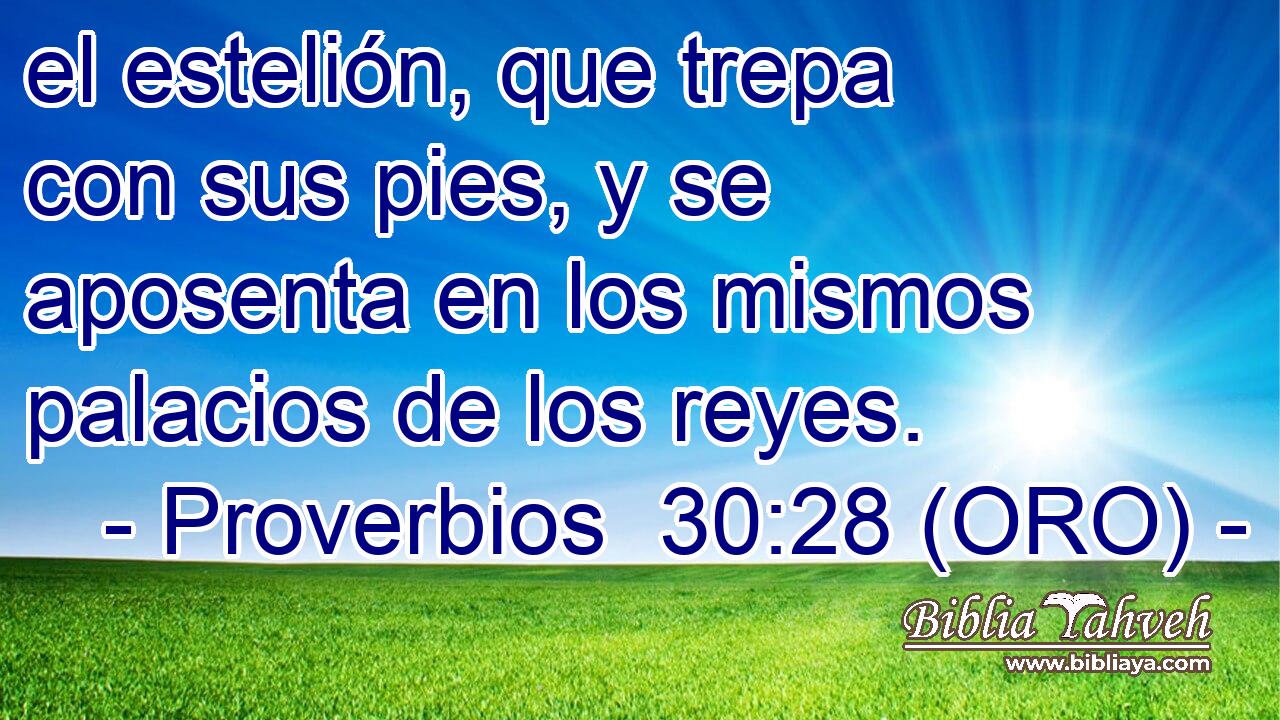 el estelión, que trepa con sus pies, y se aposenta en los mismos palacios de los reyes. 