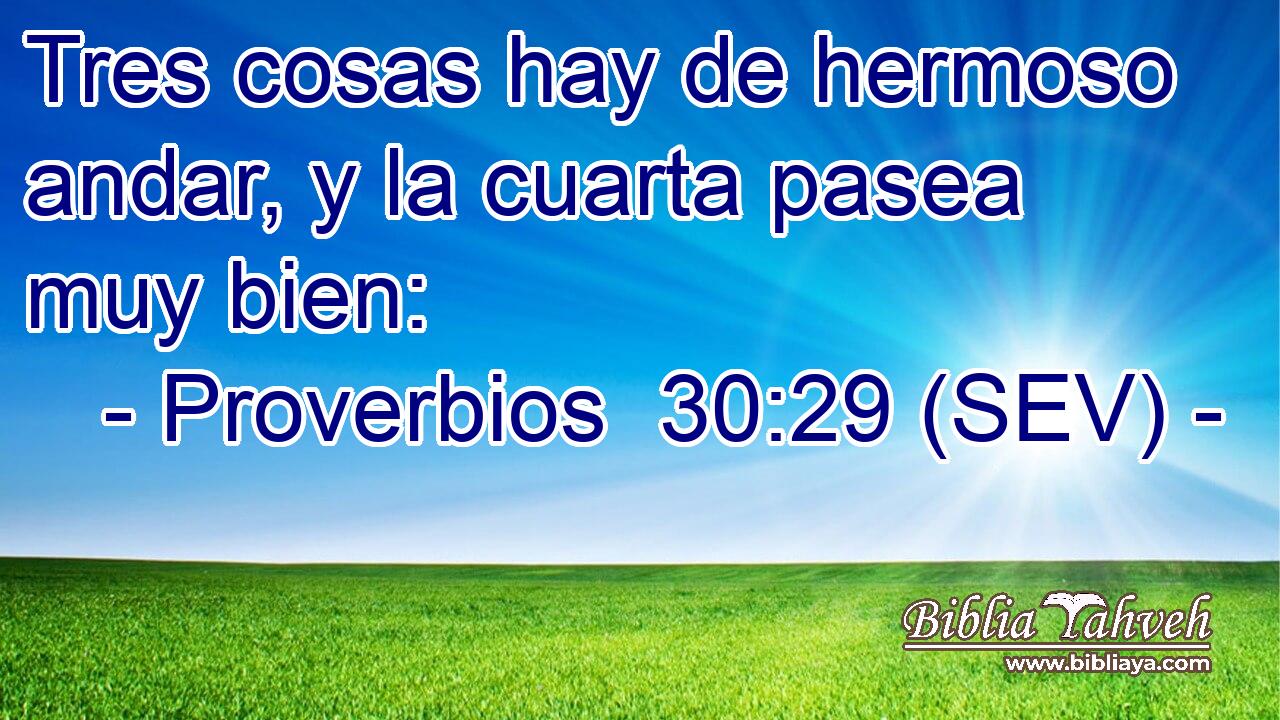 Tres cosas hay de hermoso andar, y la cuarta pasea muy bien: