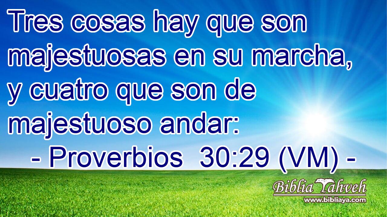  Tres cosas hay que son majestuosas en su marcha, y cuatro que son de majestuoso andar: 