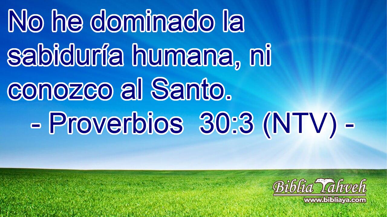 No he dominado la sabiduría humana, ni conozco al Santo.