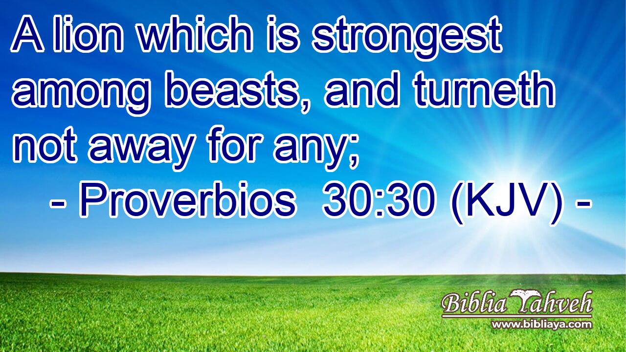 A lion which is strongest among beasts, and turneth not away for any;