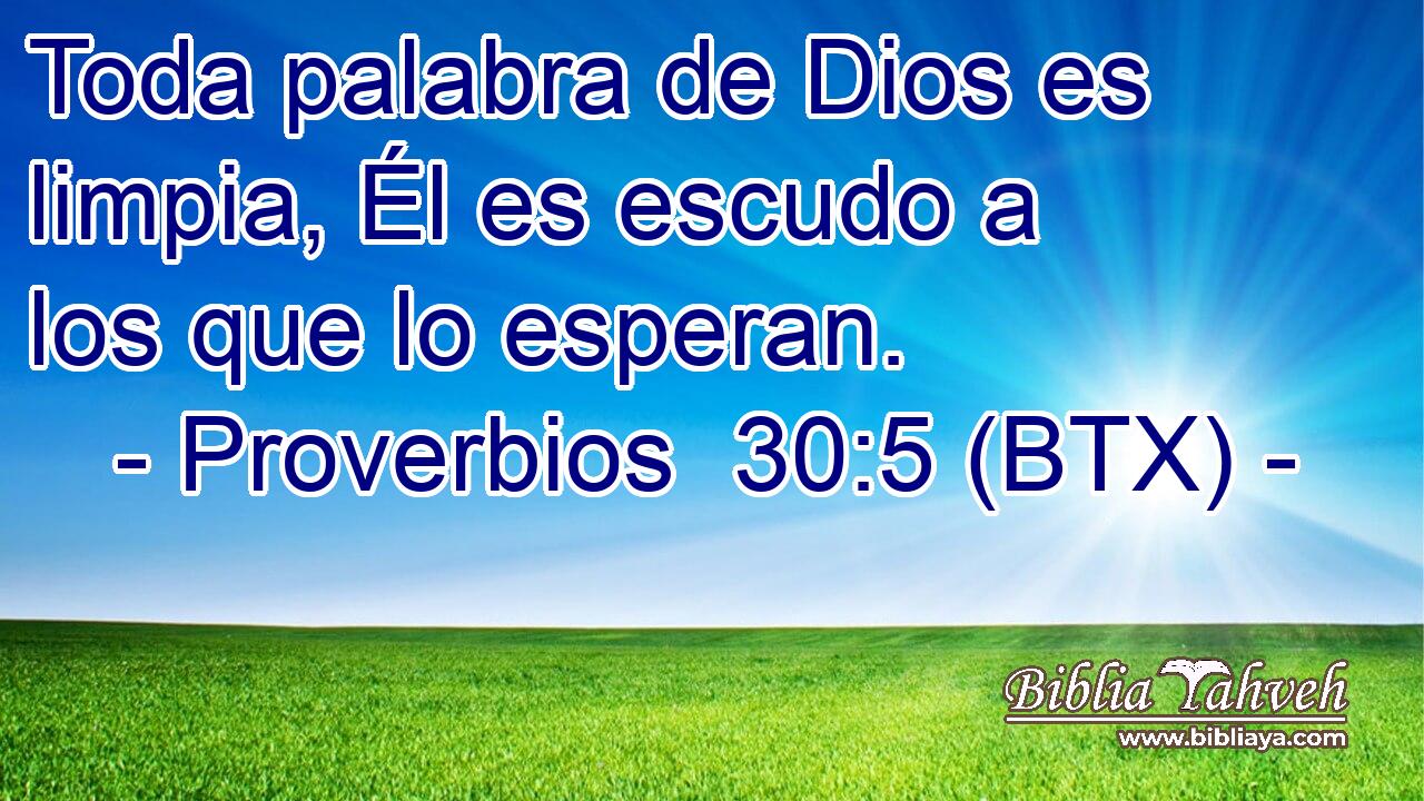 Toda palabra de Dios es limpia, Él es escudo a los que lo esperan.