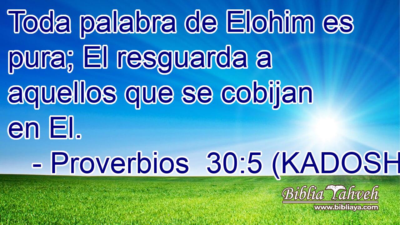  Toda palabra de Elohim es pura; El resguarda a aquellos que se cobijan en El. 