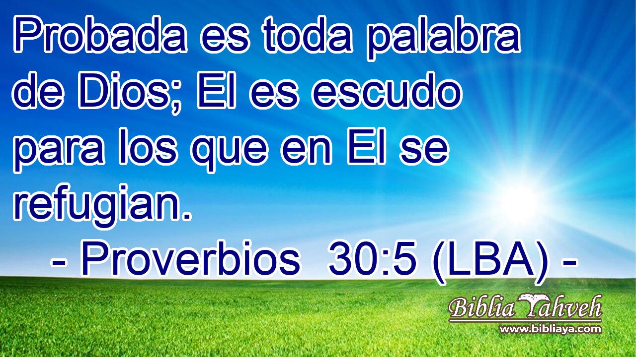 Probada es toda palabra de Dios; El es escudo para los que en El se refugian.