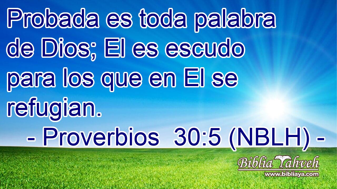  Probada es toda palabra de Dios; El es escudo para los que en El se refugian. 