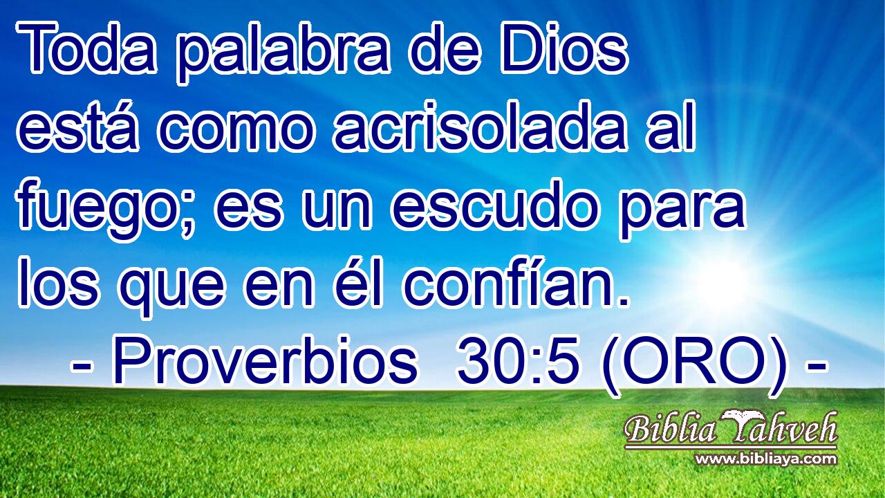  Toda palabra de Dios está como acrisolada al fuego; es un escudo para los que en él confían. 