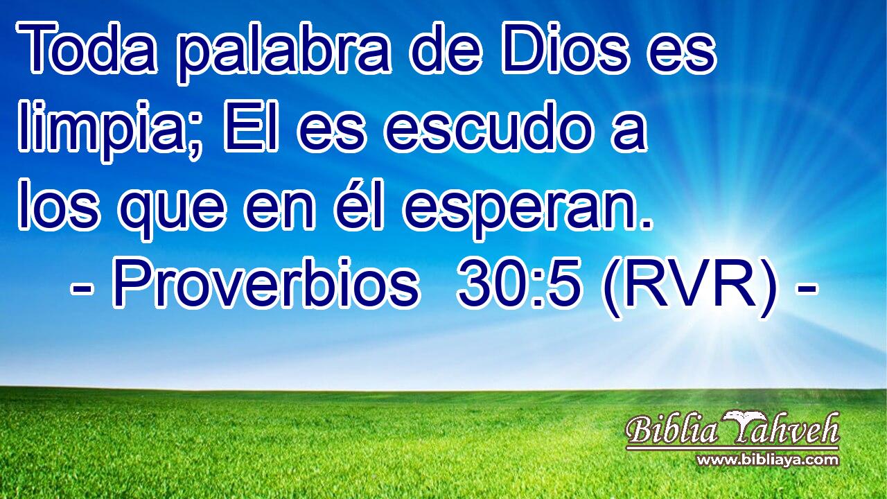 Toda palabra de Dios es limpia; El es escudo a los que en él esperan.