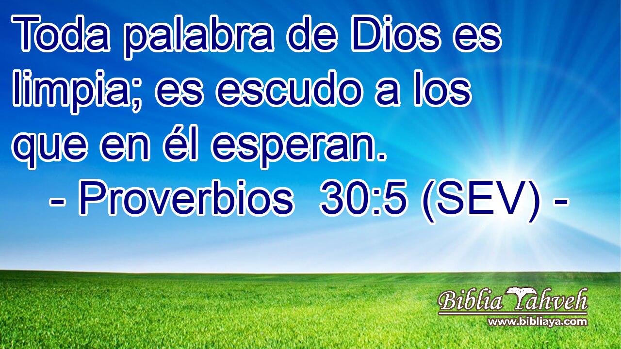 Toda palabra de Dios es limpia; es escudo a los que en él esperan.