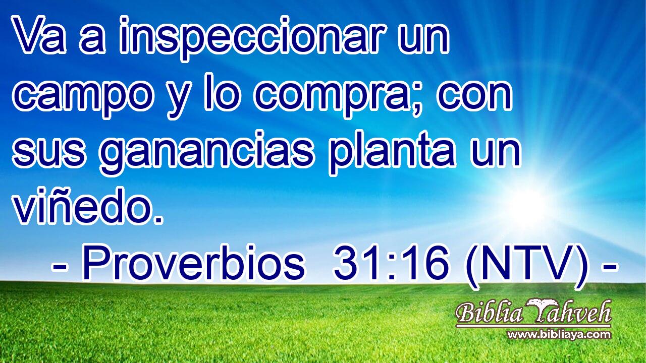 Va a inspeccionar un campo y lo compra; con sus ganancias planta un viñedo.