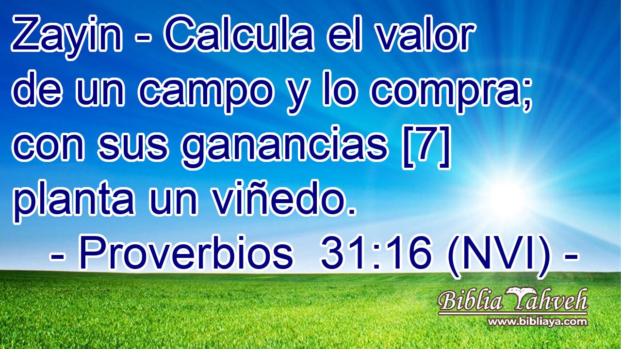  Zayin - Calcula el valor de un campo y lo compra; con sus ganancias [7] planta un viñedo. 