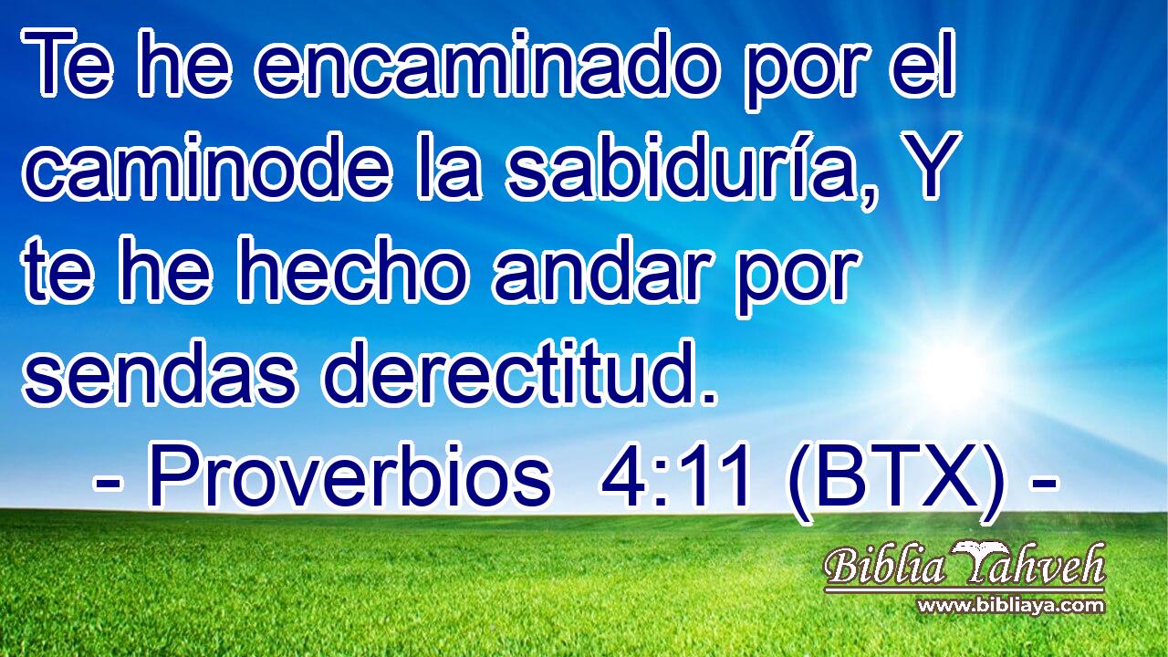 Te he encaminado por el caminode la sabiduría, Y te he hecho andar por sendas derectitud.