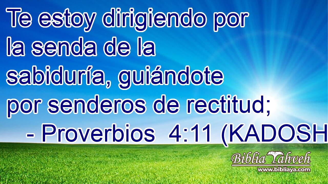  Te estoy dirigiendo por la senda de la sabiduría, guiándote por senderos de rectitud; 