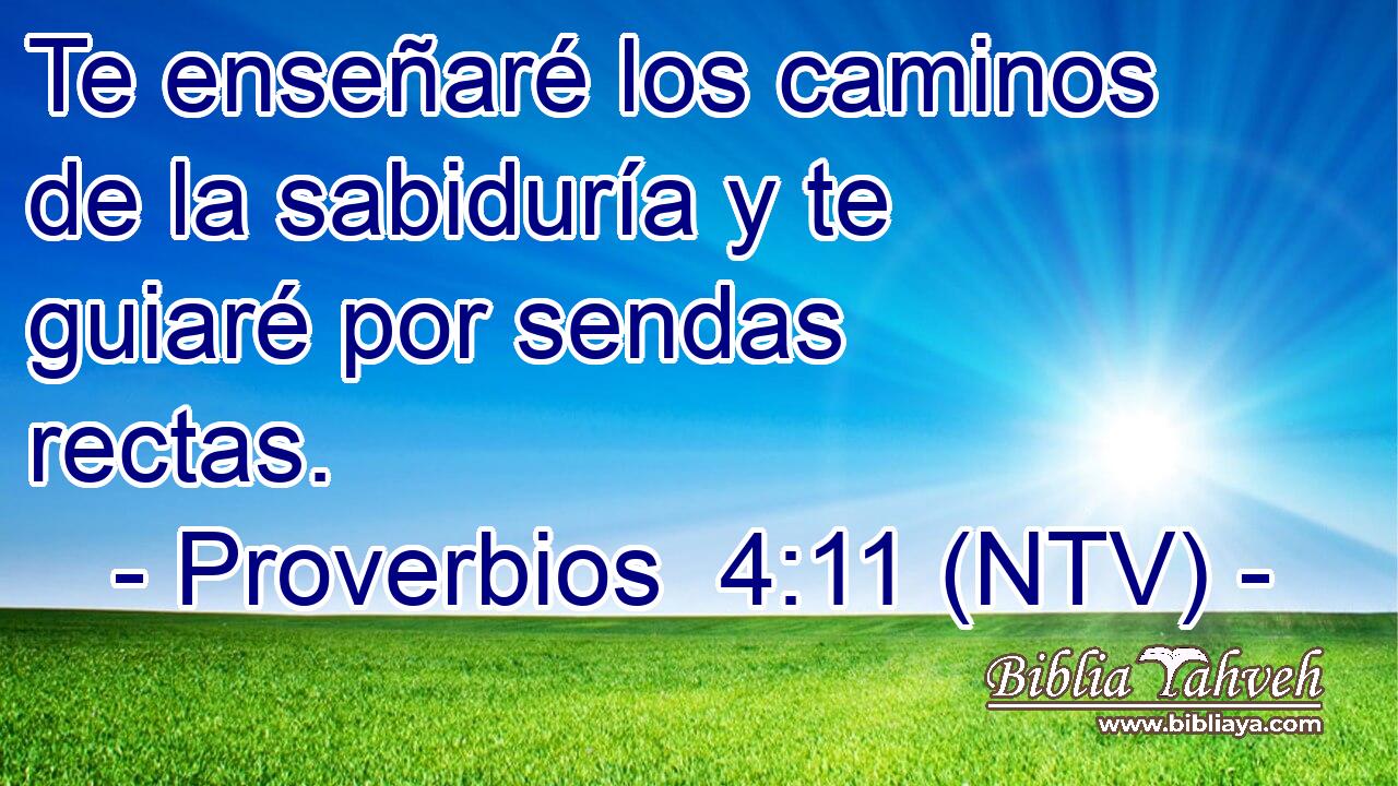 Te enseñaré los caminos de la sabiduría y te guiaré por sendas rectas.