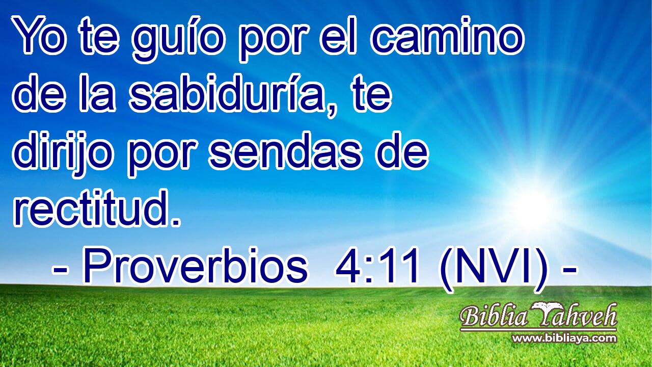  Yo te guío por el camino de la sabiduría, te dirijo por sendas de rectitud. 