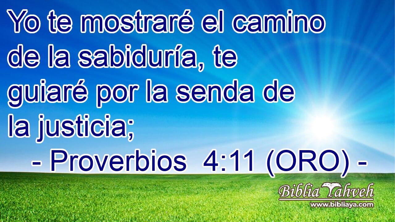 Yo te mostraré el camino de la sabiduría, te guiaré por la senda de la justicia; 