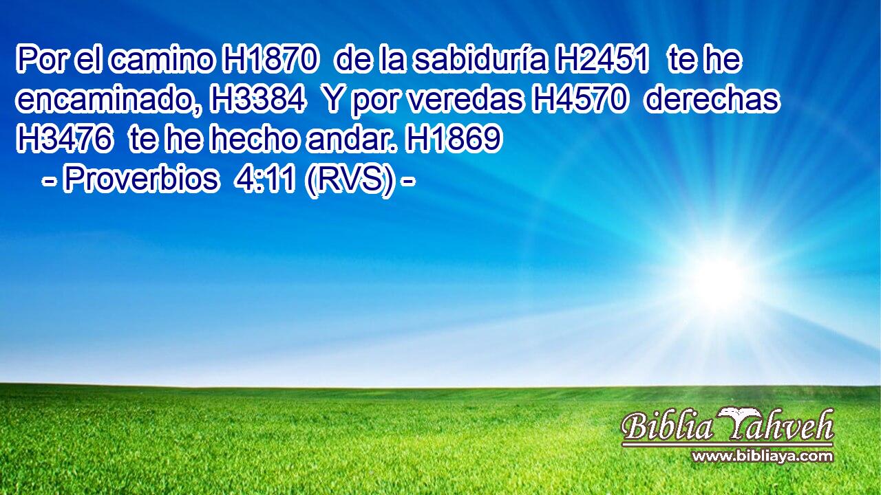 Por el camino H1870  de la sabiduría H2451  te he encaminado, H3384  Y por veredas H4570  derechas H3476  te he hecho andar. H1869  