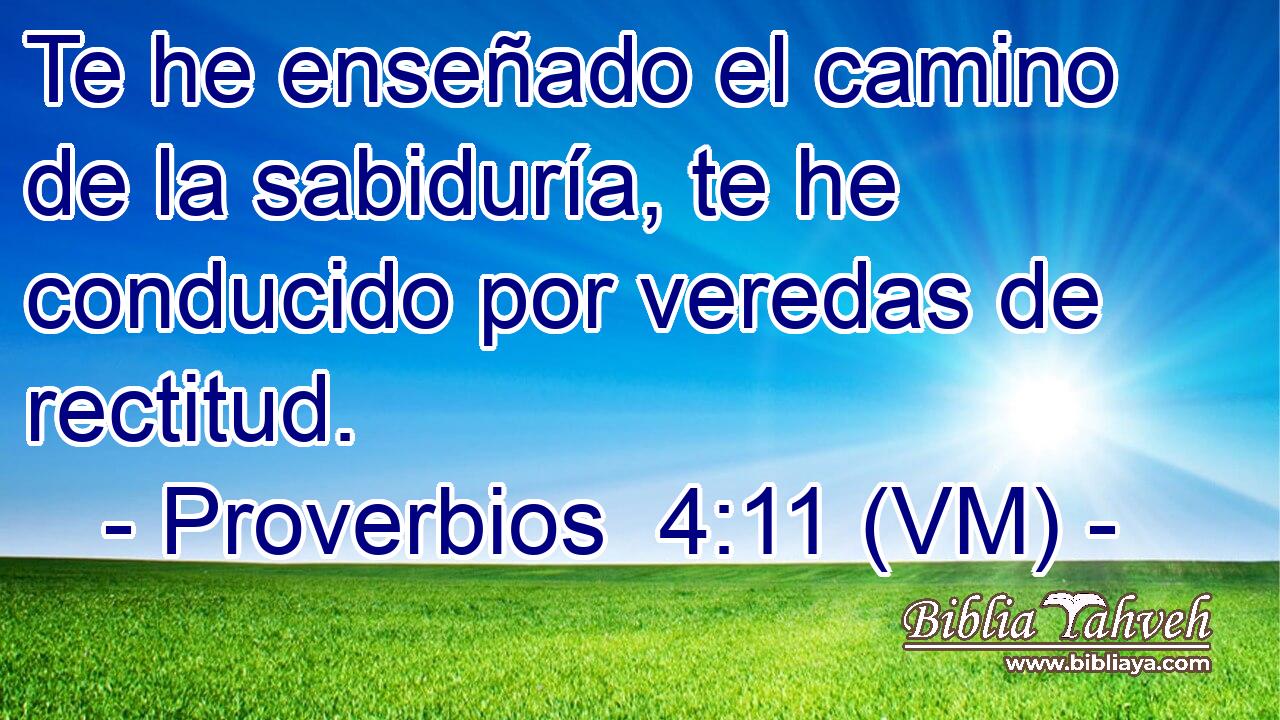  Te he enseñado el camino de la sabiduría, te he conducido por veredas de rectitud. 