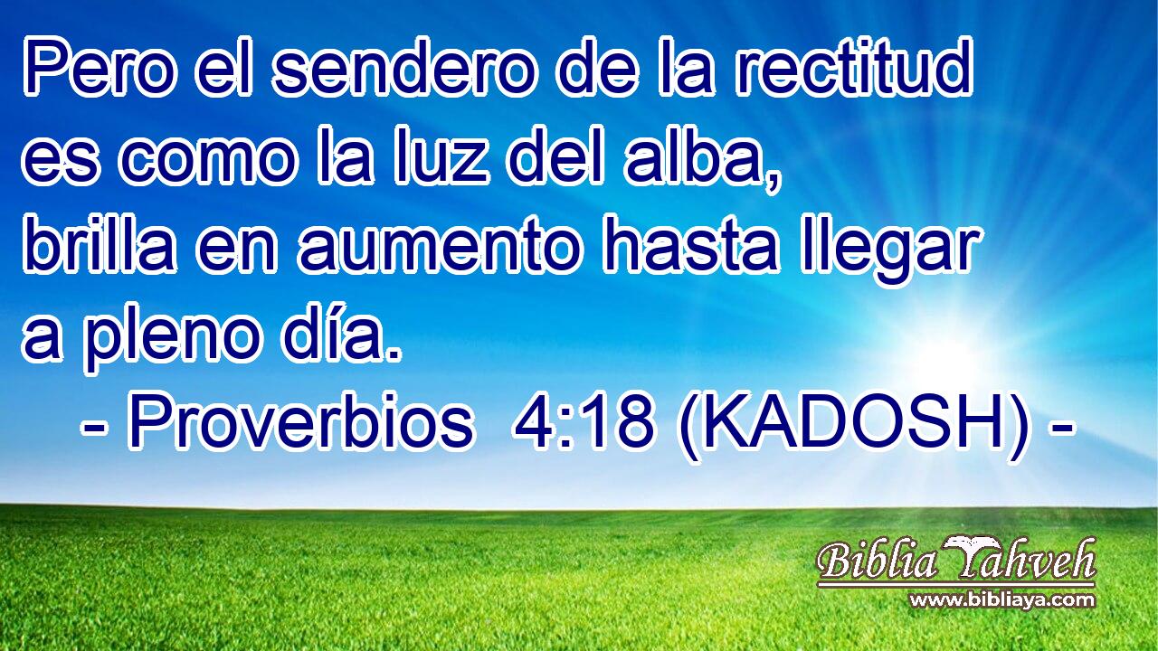  Pero el sendero de la rectitud es como la luz del alba, brilla en aumento hasta llegar a pleno día. 