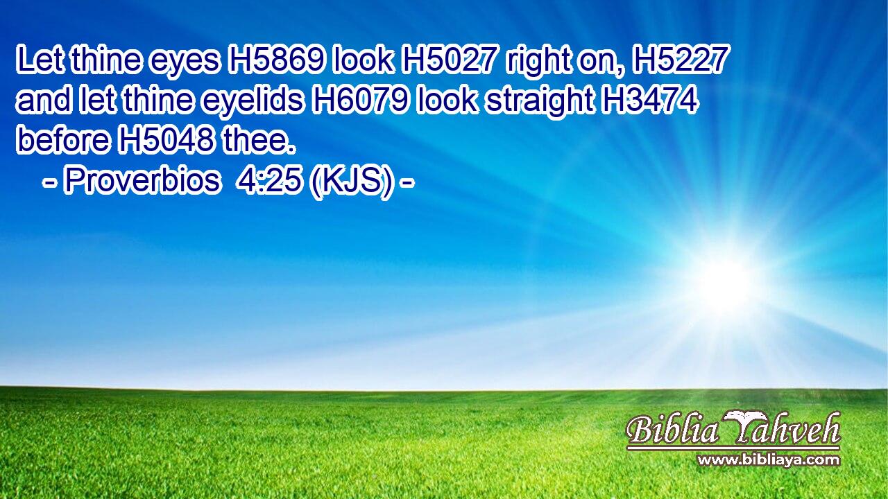 Let thine eyes H5869 look H5027 right on, H5227 and let thine eyelids H6079 look straight H3474 before H5048 thee.