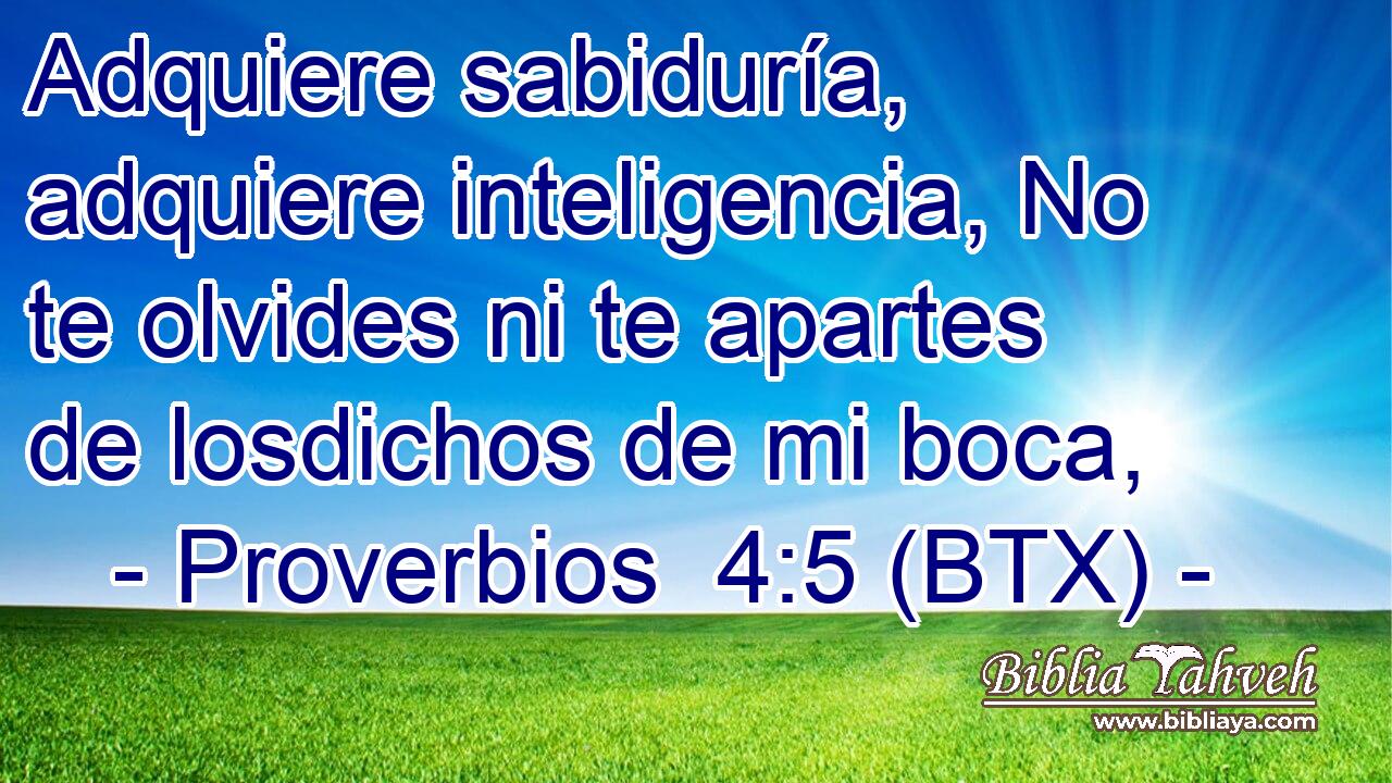 Adquiere sabiduría, adquiere inteligencia, No te olvides ni te apartes de losdichos de mi boca,