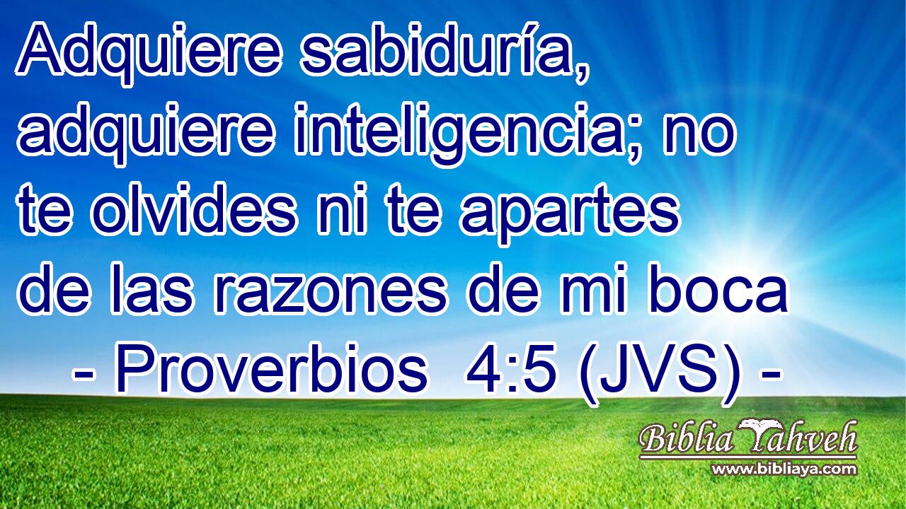 Adquiere sabiduría, adquiere inteligencia; no te olvides ni te apartes de las razones de mi boca