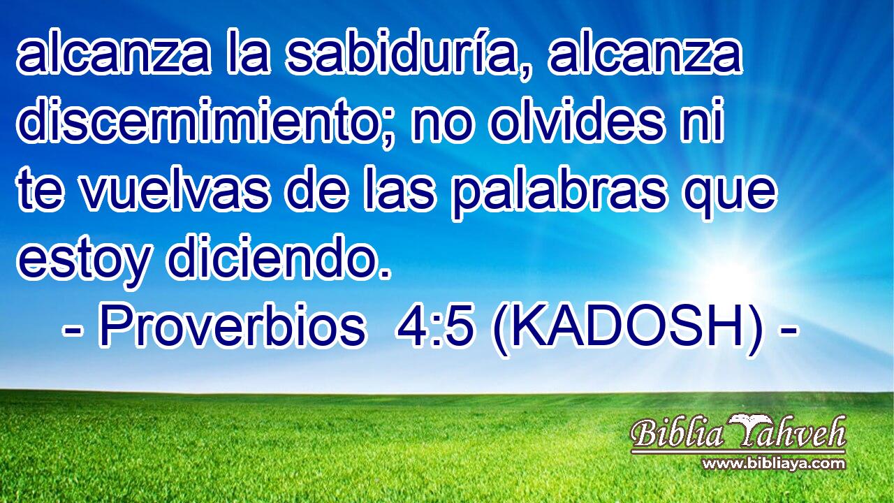  alcanza la sabiduría, alcanza discernimiento; no olvides ni te vuelvas de las palabras que estoy diciendo. 