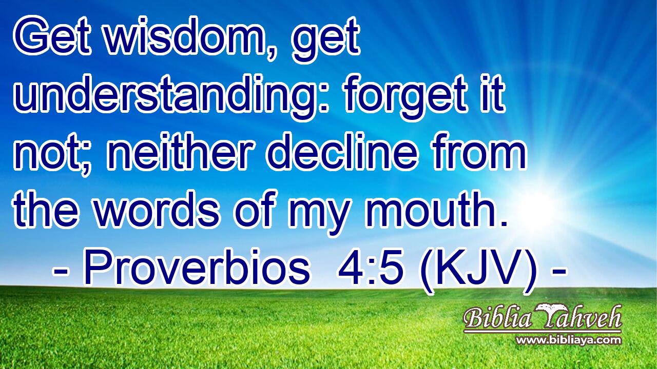 Get wisdom, get understanding: forget it not; neither decline from the words of my mouth.