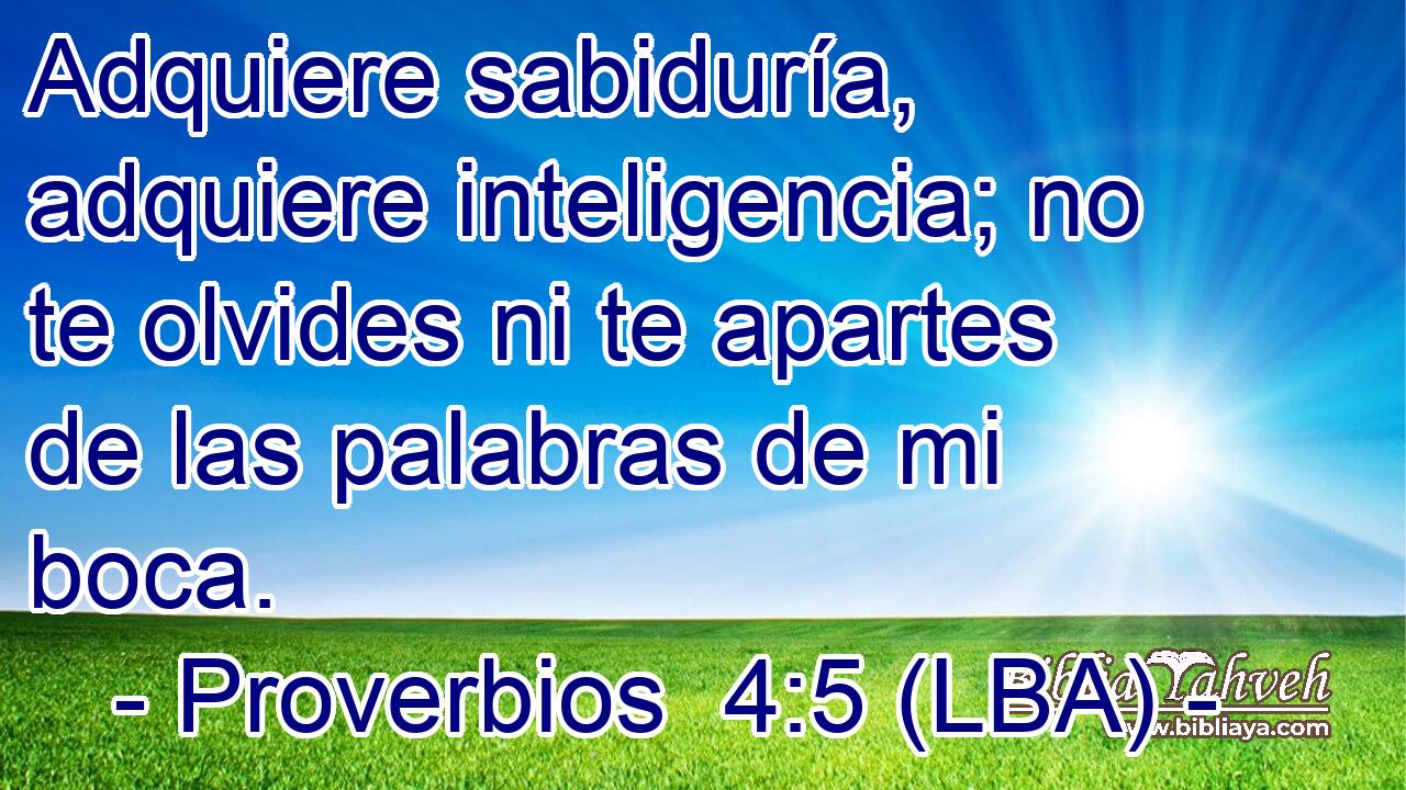 Adquiere sabiduría, adquiere inteligencia; no te olvides ni te apartes de las palabras de mi boca.