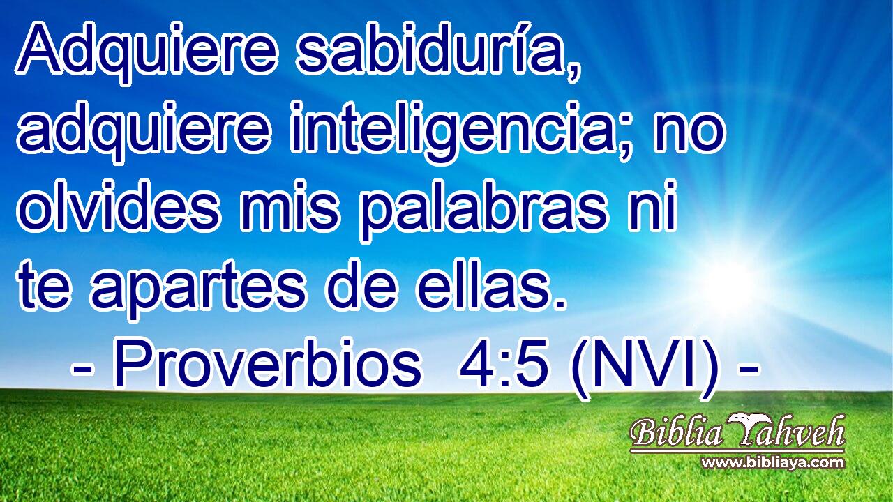  Adquiere sabiduría, adquiere inteligencia; no olvides mis palabras ni te apartes de ellas. 