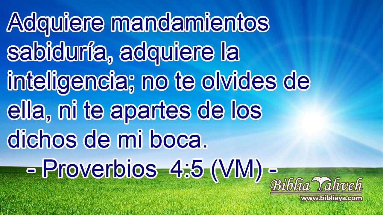  Adquiere mandamientos sabiduría, adquiere la inteligencia; no te olvides de ella, ni te apartes de los dichos de mi boca. 