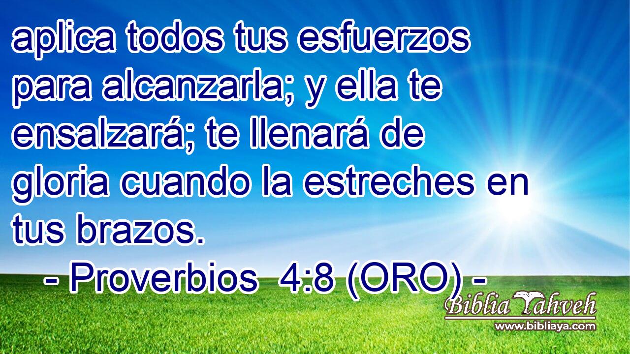  aplica todos tus esfuerzos para alcanzarla; y ella te ensalzará; te llenará de gloria cuando la estreches en tus brazos. 