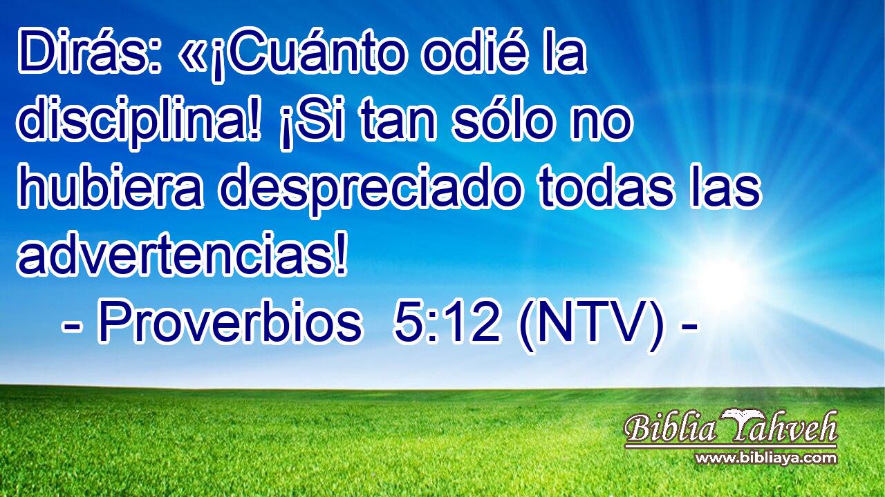 Dirás: «¡Cuánto odié la disciplina! ¡Si tan sólo no hubiera despreciado todas las advertencias!