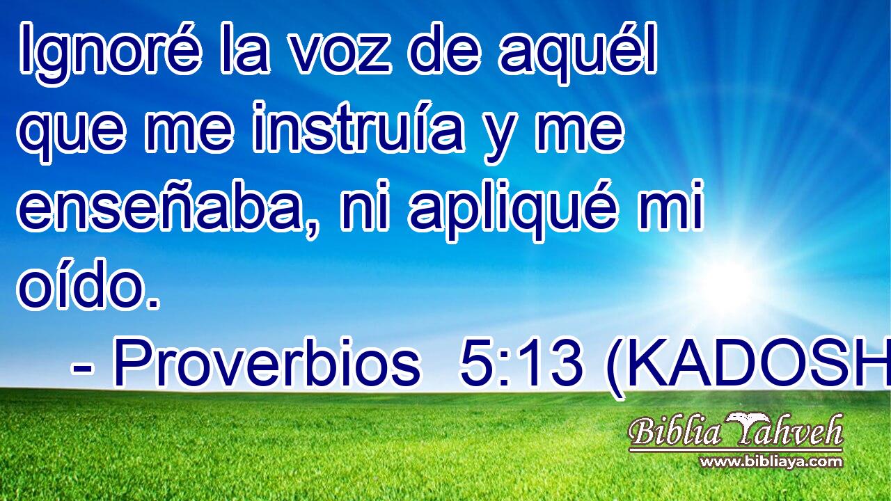  Ignoré la voz de aquél que me instruía y me enseñaba, ni apliqué mi oído. 