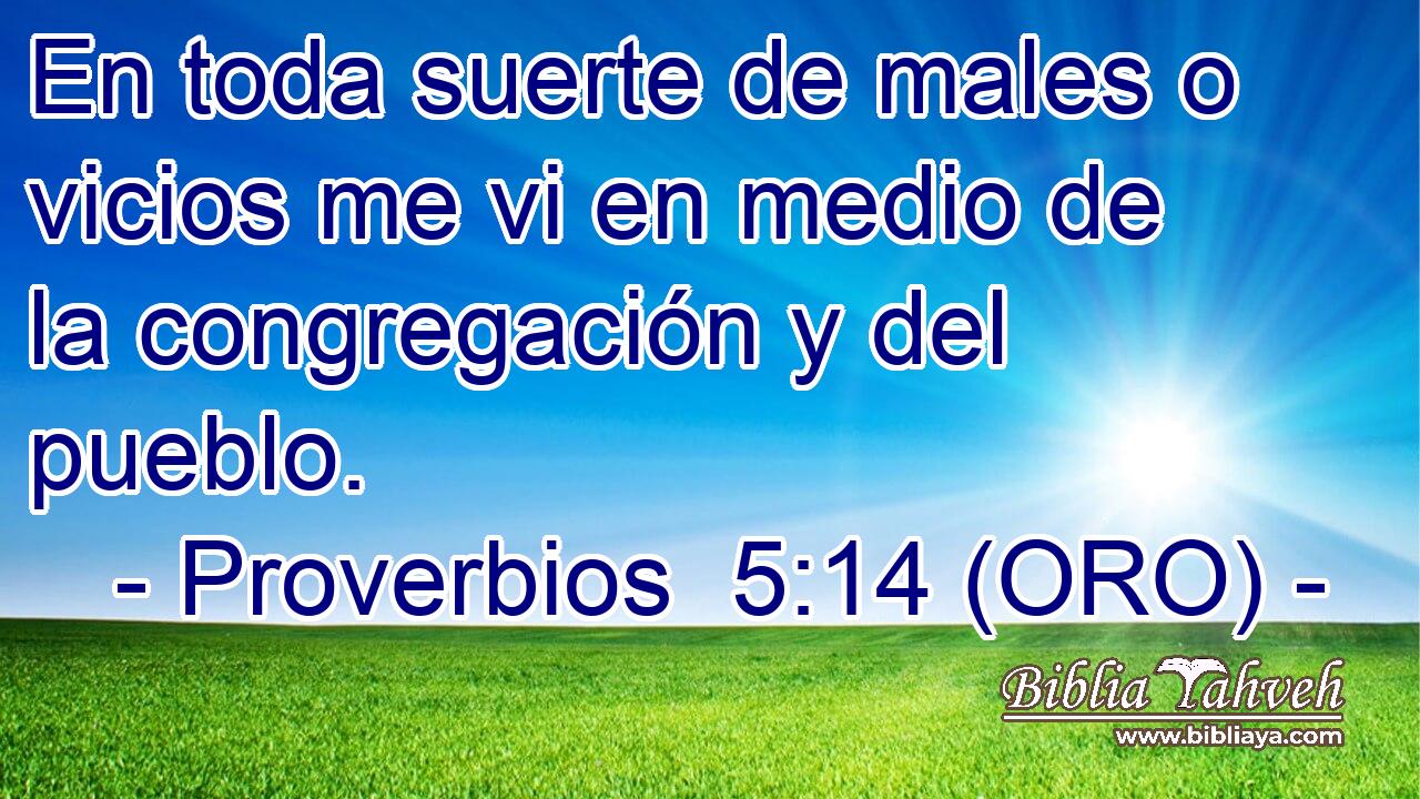  En toda suerte de males o vicios me vi en medio de la congregación y del pueblo. 