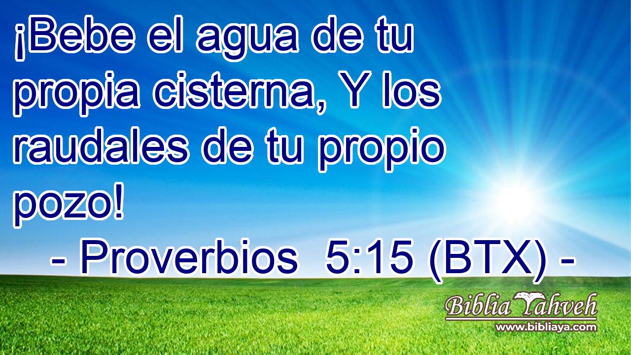 ¡Bebe el agua de tu propia cisterna, Y los raudales de tu propio pozo!