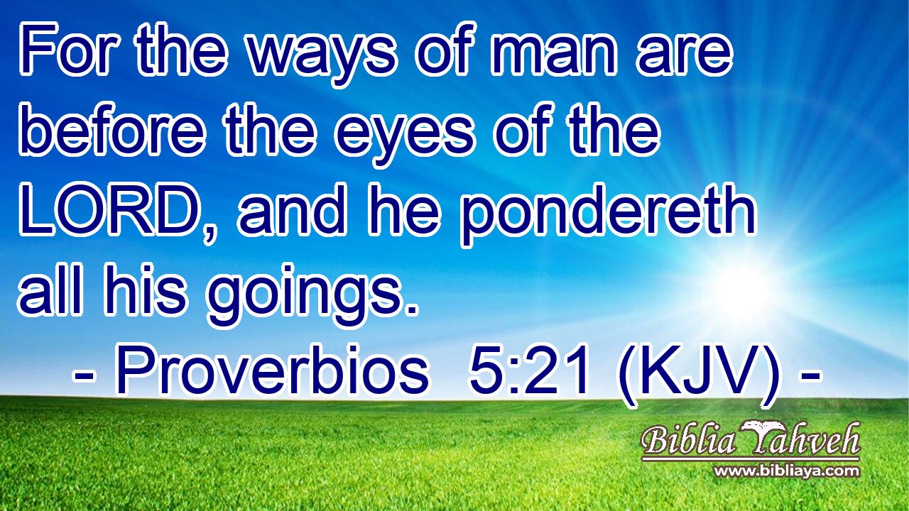 For the ways of man are before the eyes of the LORD, and he pondereth all his goings.