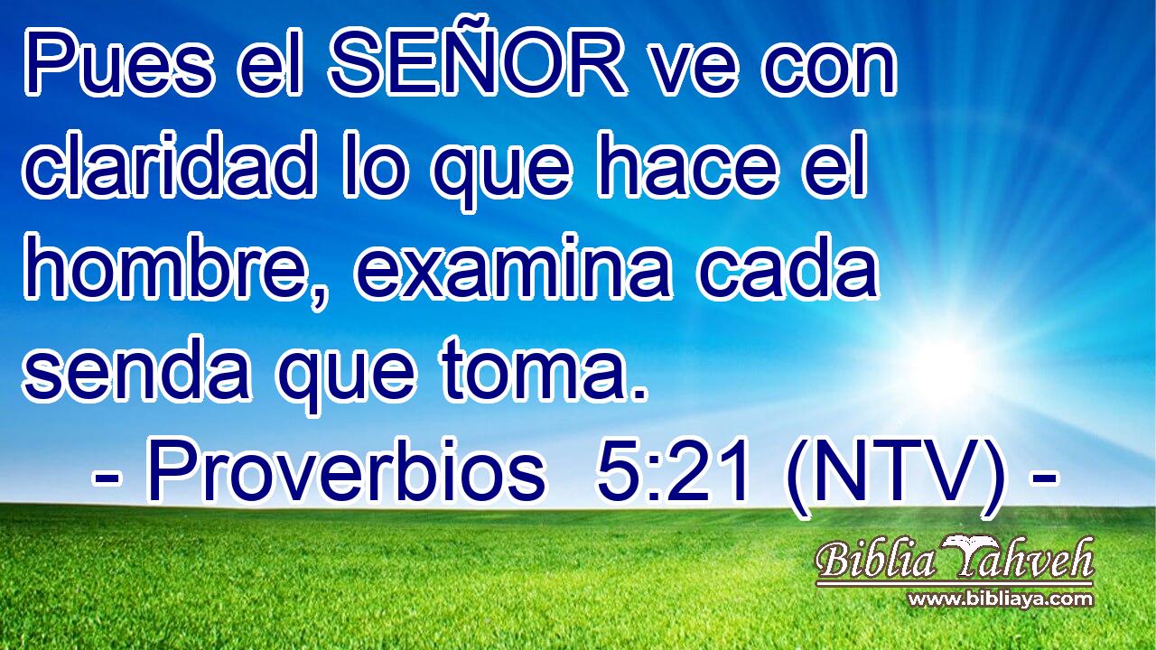 Pues el SEÑOR ve con claridad lo que hace el hombre, examina cada senda que toma.