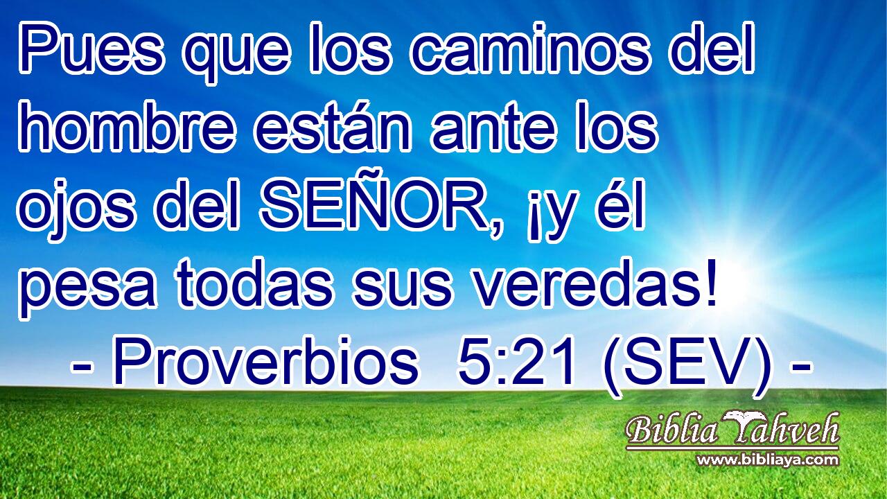 Pues que los caminos del hombre están ante los ojos del SEÑOR, ¡y él pesa todas sus veredas!
