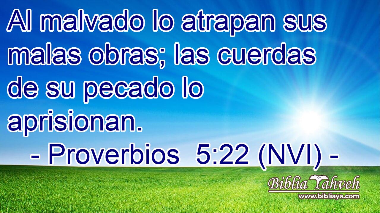  Al malvado lo atrapan sus malas obras; las cuerdas de su pecado lo aprisionan. 