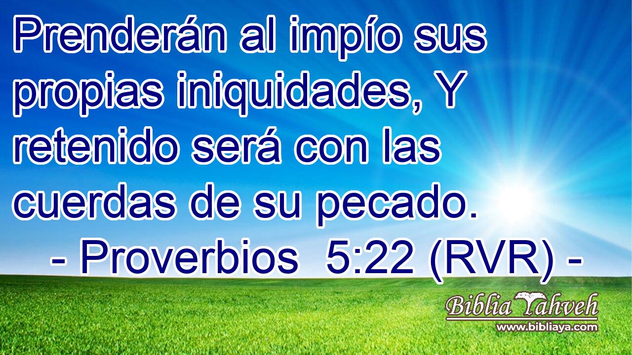 Prenderán al impío sus propias iniquidades, Y retenido será con las cuerdas de su pecado.