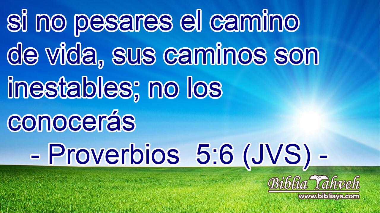 si no pesares el camino de vida, sus caminos son inestables; no los conocerás